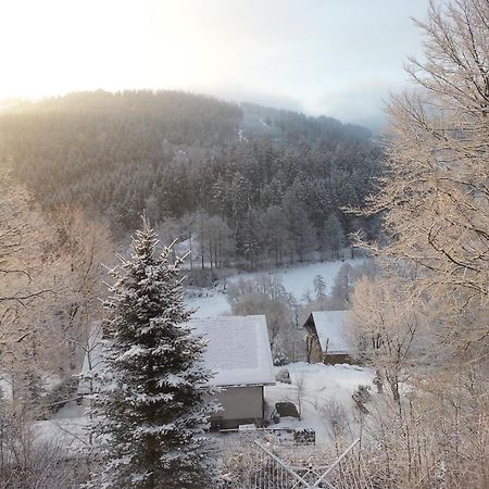 Haus Vor Den Eichen Fuer Familien Villa Вилинген Екстериор снимка